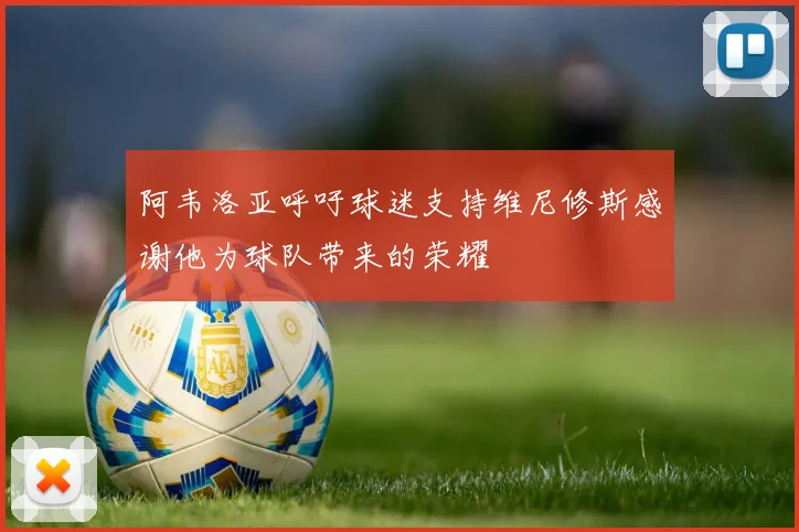 阿韦洛亚呼吁球迷支持维尼修斯感谢他为球队带来的荣耀